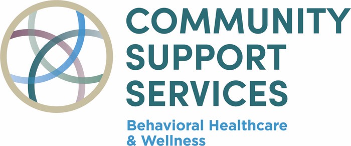 CSS Logo